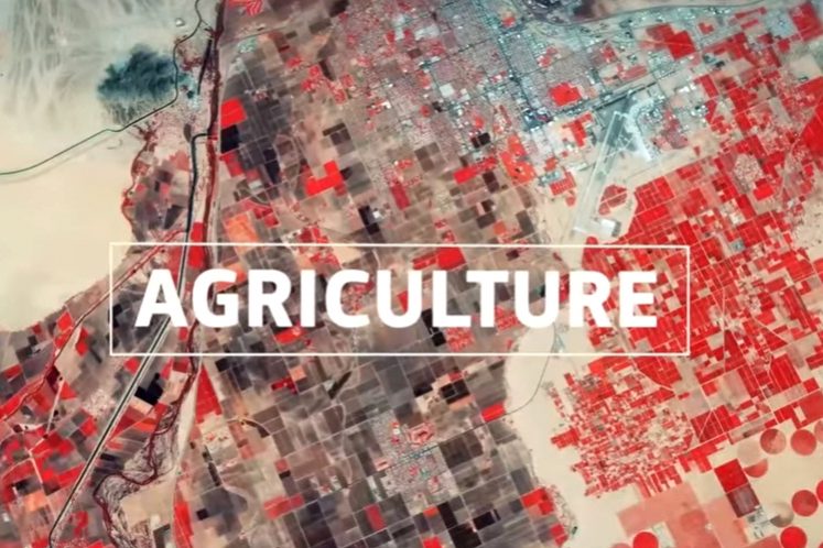 copernicus_agricultura