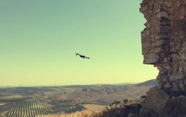 WhatsApp-Image-2018-07-11-at-06.50.06-e1539777955131-forest